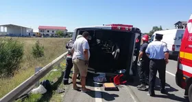 Galerie foto - poza 4