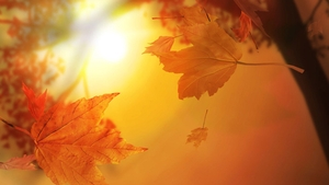 Toamna nu vrea sa apara! Uite ce temperaturi caniculare vor fi in zilele urmatoare!
