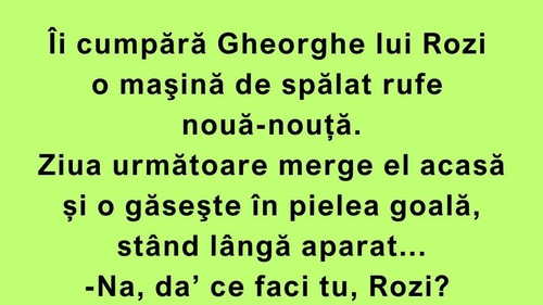 BANC | Cum folosește Rozi a lui Gheorghe mașina de spălat