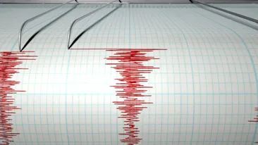 Cutremur puternic cu magnitudinea 7.8, în Fiji