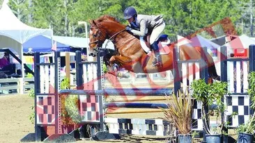 Primim doar 15.000 de euro de la buget