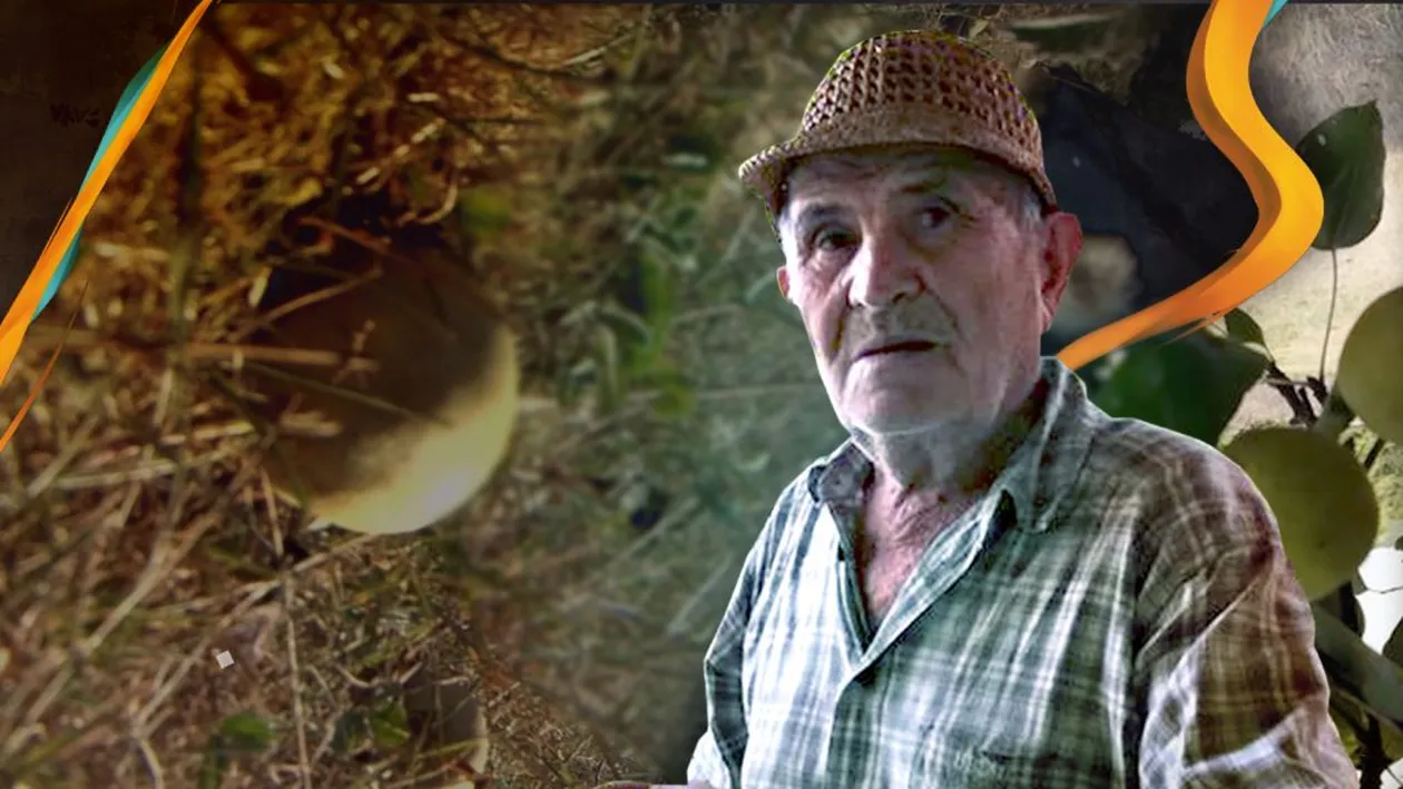 Povestea unui miracol de 100 de ani, care riscă să dispară