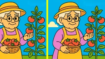 TEST IQ | Identificați toate cele 3 diferențe dintre aceste două bunicuțe, în maximum 51 de secunde