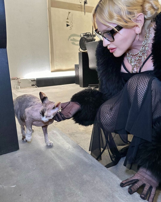 Sursa foto: Instagram/madonna