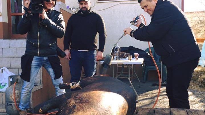 VÂRCIU şi nea MĂRIN l-au pârlit! ”Liviule, lasă...”