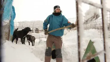 Peste 200 de caini sunt ingropati de nameti in adapostul de la Glina!