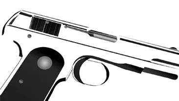 Doi frati ucisi de un vecin pentru ca ascultau muzica prea tare!