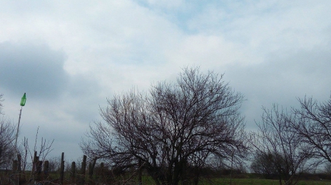 METEO 16 MARTIE! Cerul va avea înnorări temporar accentuate şi va ploua în general slab cantitativ