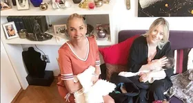 Galerie foto - poza 1