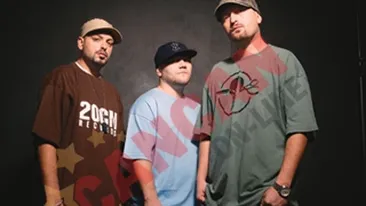 VIDEO Parazitii: Societatea romaneasca trebuie schimbata cu paru`, cu bata, cu parnaia!