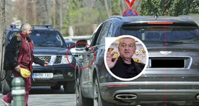 Galerie foto - poza 4