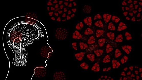 Sălaj, primul județ din România în care incidența cazurilor de coronavirus a depășit pragul de 5