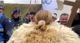 Galerie foto - poza 3