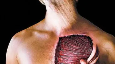 Ce se ascunde cu adevarat in spatele durerilor musculare!