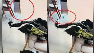 Imagini șocante surprinse de camerele de filmat la Insula Iubirii. Ireal ce a apărut pe blatul din bucătărie, din casa concurenților