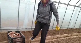 Galerie foto - poza 3