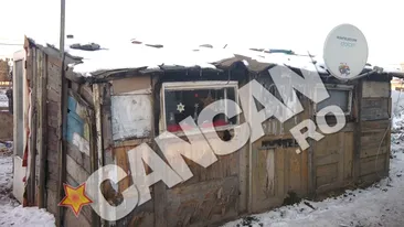 Elvetianca Salome, stabilita in tigania Clujului, si-a tencuit baraca