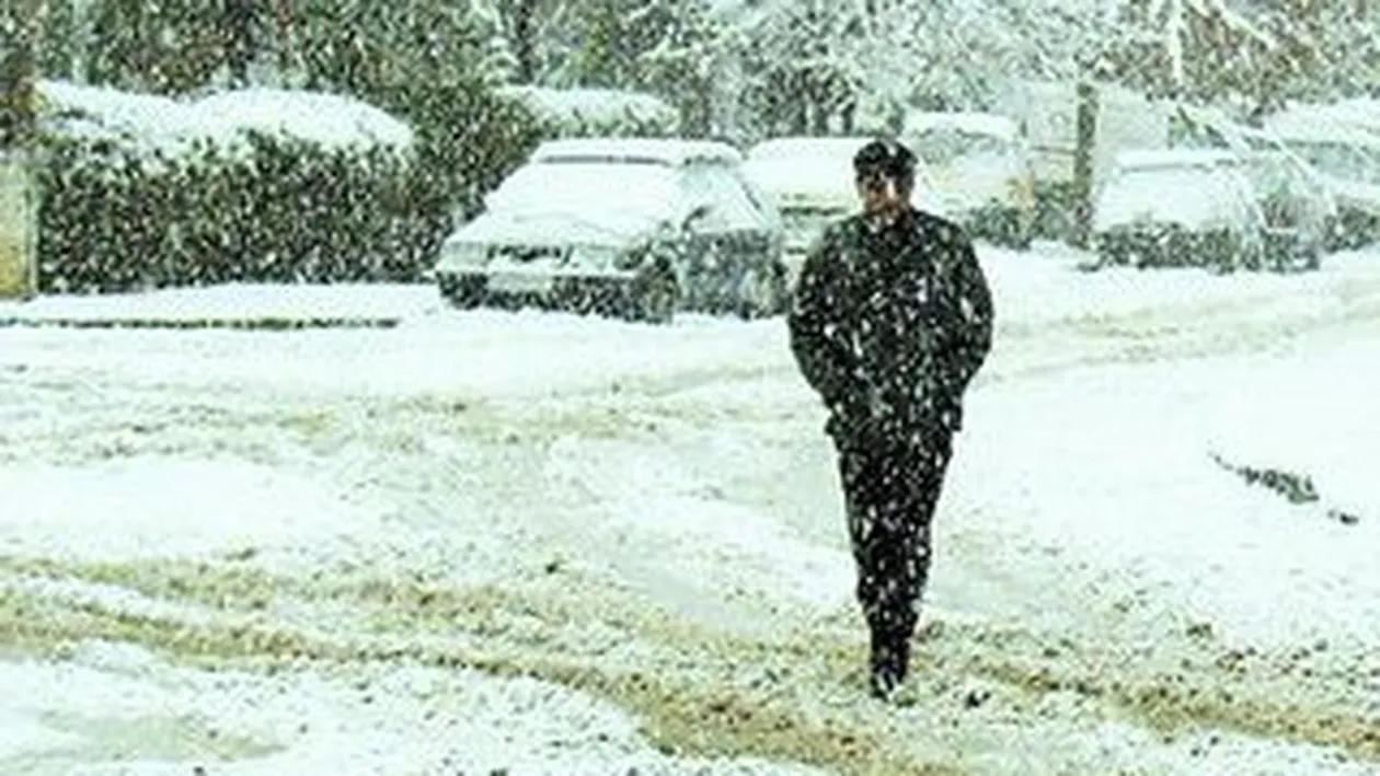 Meteorologii au emis cod galben de ninsori si vant in sudul tarii