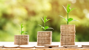 Curs valutar 4 octombrie 2019: euro s-a scumpit, iar dolarul s-a ieftinit. Câți lei costă fiecare
