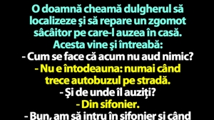 BANC | O doamnă cheamă dulgherul să localizeze şi să repare un zgomot sâcâitor pe care-l auzea în casă