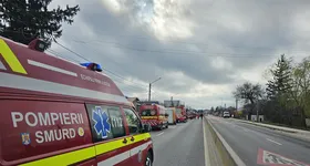 Galerie foto - poza 1