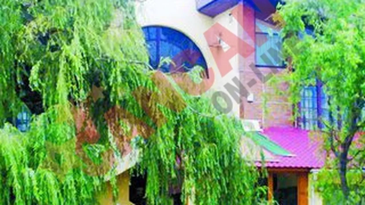 Au pus capcane pentru tantari in oras!