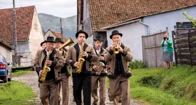 Galerie foto - poza 2