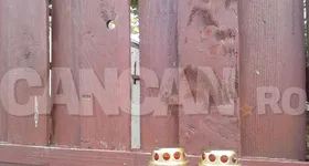 Galerie foto - poza 2