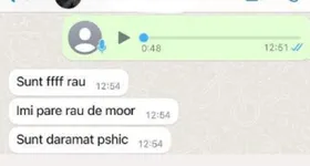 Galerie foto - poza 2