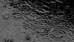 METEO 14 MARTIE: Se restrâng ploile, iar temperatura se apropie de normal!