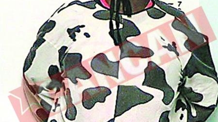 S-a dus vaca la proces