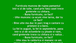 BANCUL ZILEI | Greierele și furnica - varianta 2023