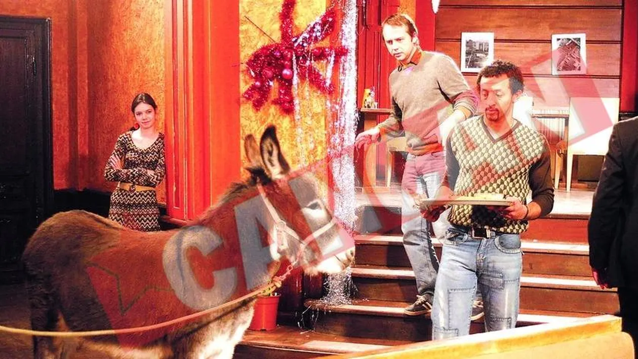 Kamara, imblanzitor de magari