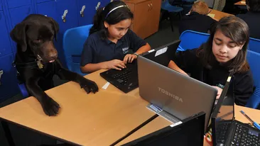 Un catel merge la scoala cot la cot cu copiii