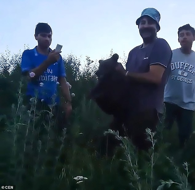 Șocant! S-au filmat în timp ce chinuiau un pui de urs