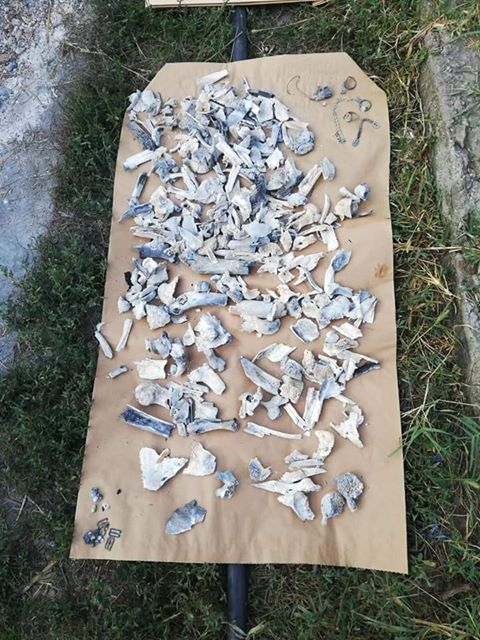Criminalul fetelor din Caracal a fost patron de firmă. Dezvăluiri despre “Casa groazei” din Str. Craiovei