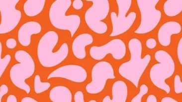 Iluzie optică virală | În această poză se ascunde o siluetă de pisică. O poți găsi în 5 secunde?