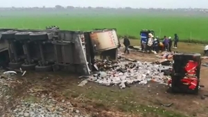 Puii congelaţi din TIR-ul ars pe A2, încărcaţi într-o căruţă de localnici şi duşi acasă