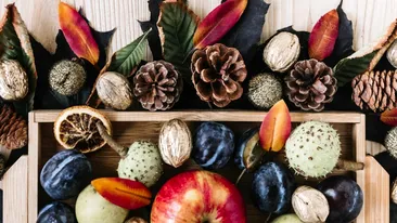 Fructul preferat al pensionarilor este vedeta toamnei! 1 kg costă doar 6 lei