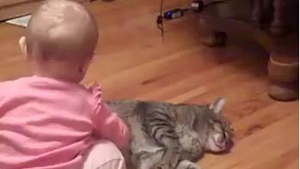 VIDEO demential! Nimeni nu iubeste pisicile mai mult decat fetita asta - Uite cum se gudura pe langa motanul mai mare decat ea!