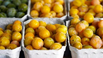 Fructul copilăriei se vinde cu 200 de lei kilogramul, în mai 2026: ”Nu m-aș fi așteptat să dau banii pe așa ceva”