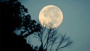 Zodia distrusă de Mercur Retrograd. Acești nativi se vor îmbolnăvi și vor avea mari probleme cu banii până pe 29 august 2024