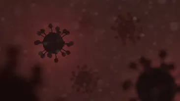 Bilanțul Covid pe județe. Număr ridicat de cazuri în Capitală pentru o zi de weekend