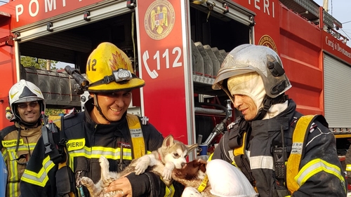 Imaginile astea îți vor umple ochii de lacrimi! Pe cine au reușit să salveze pompierii bucureșteni din incendiul de azi noapte din Sectorul 5