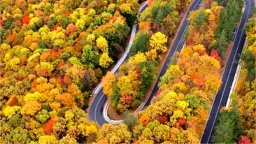 Nou drum spectaculos în România! Şerpuieşte prin pădurile Buzăului. Cum poţi ajunge acolo