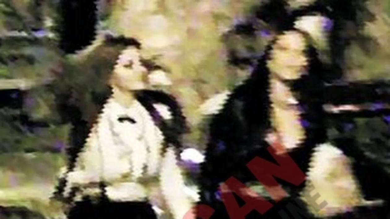 Iguana e topita dupa Ceara