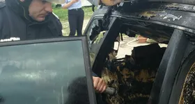 Galerie foto - poza 4