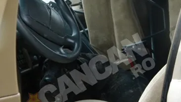 O catelusa a stat inchisa cinci zile intr-o masina