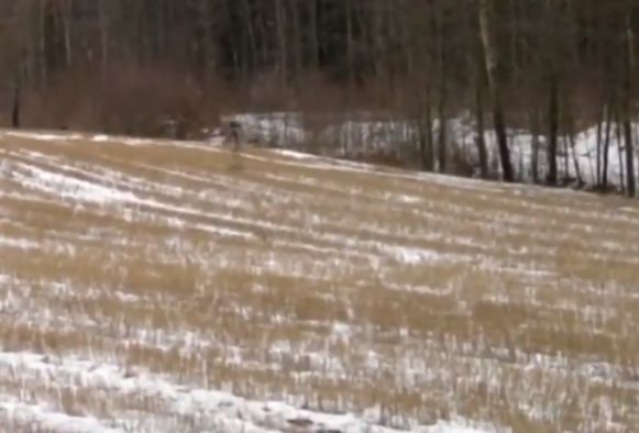 Românul care a filmat un extraterestru: „S-a întâmplat acum câteva minute, în apropiere de Municipiului Târgovişte!”