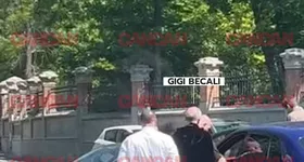 Galerie foto - poza 2